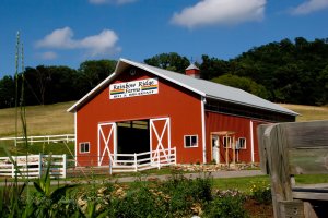 Pumpkin Patch and Goat Yoga at Rainbow Ridge @ Rainbow Ridge Farms